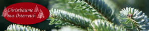 neues-logo-weihnachtsbaum2013