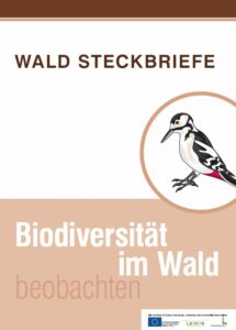 Wald Steckbriefe_Biodiversität im Wald beobachten