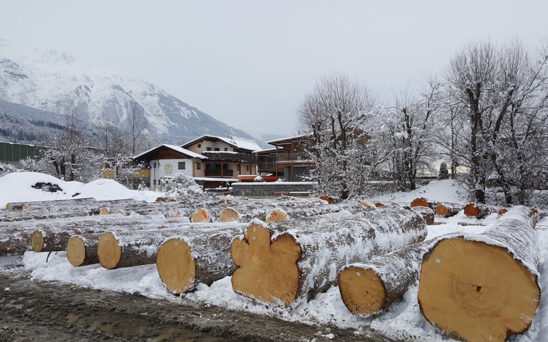 Wertholzsubmission Tirol 2018 – Losverzeichnis