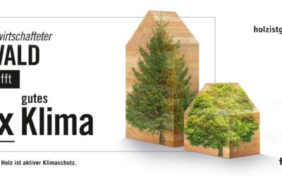 WALDBEWIRTSCHAFTUNG IST KEIN TEIL DES KLIMAPROBLEMS, SONDERN DER LÖSUNG