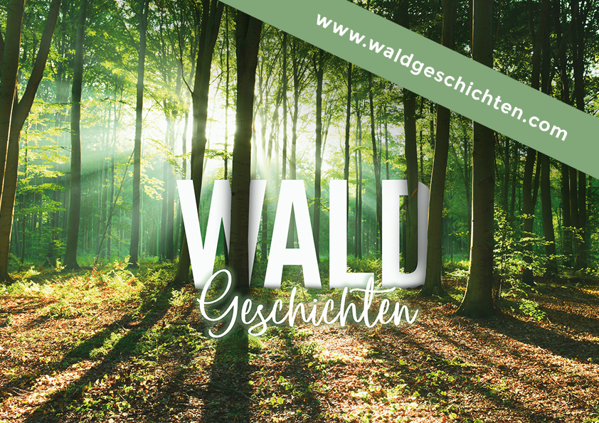 www.waldgeschichten.com