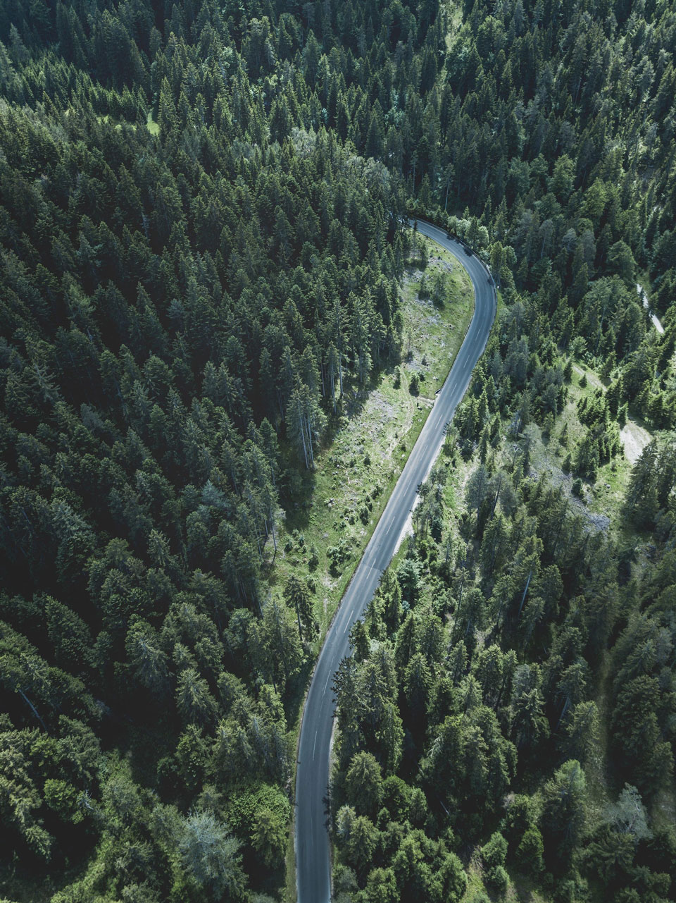 Wald Leutasch, Österreich - Unsplash - Paul Pastourmatzis