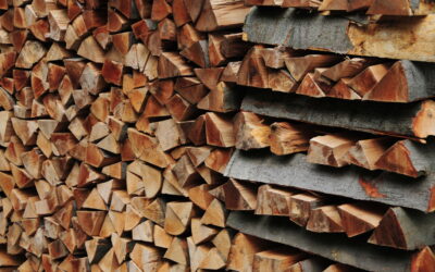 BIOENERGIE – DOPPELT WIRKSAM FÜR DEN KLIMASCHUTZ