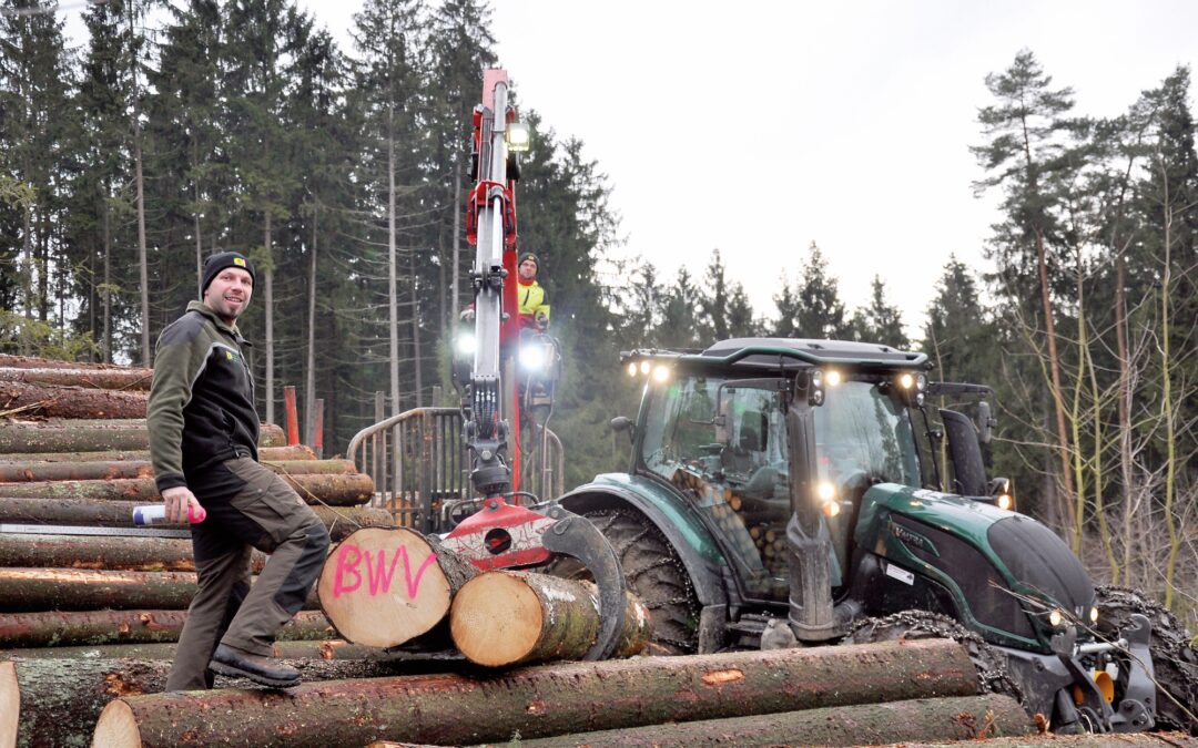 Erfolgreiche Holzernte im Bauernwald
