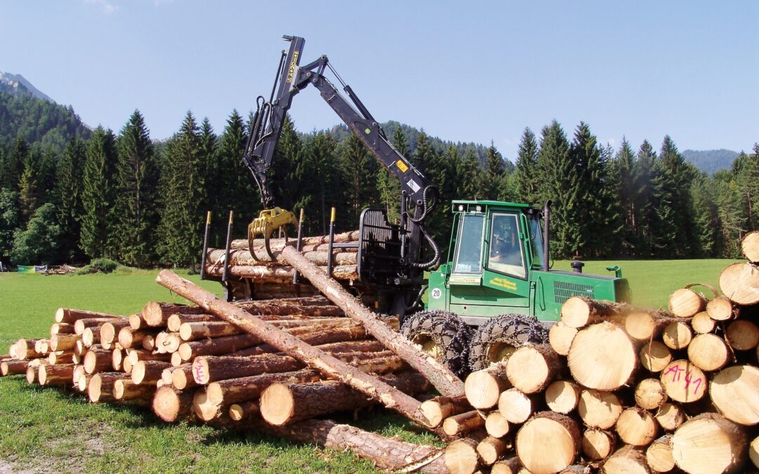Rundum sicher –  unsere Holzlagerplätze