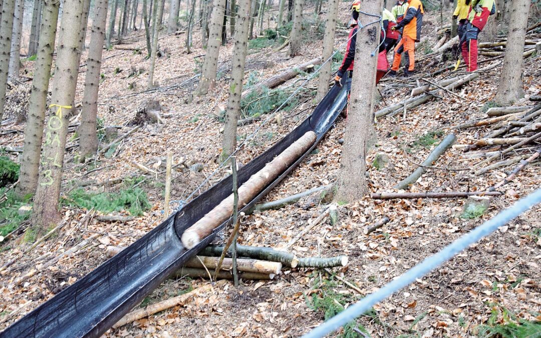 Bodenschonende Holzrückung im Kleinwald