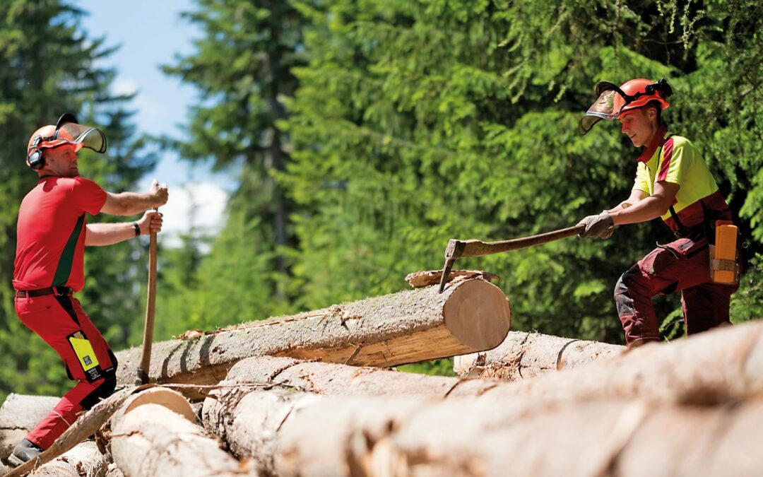 Zusatzqualifikation Forstfacharbeiter