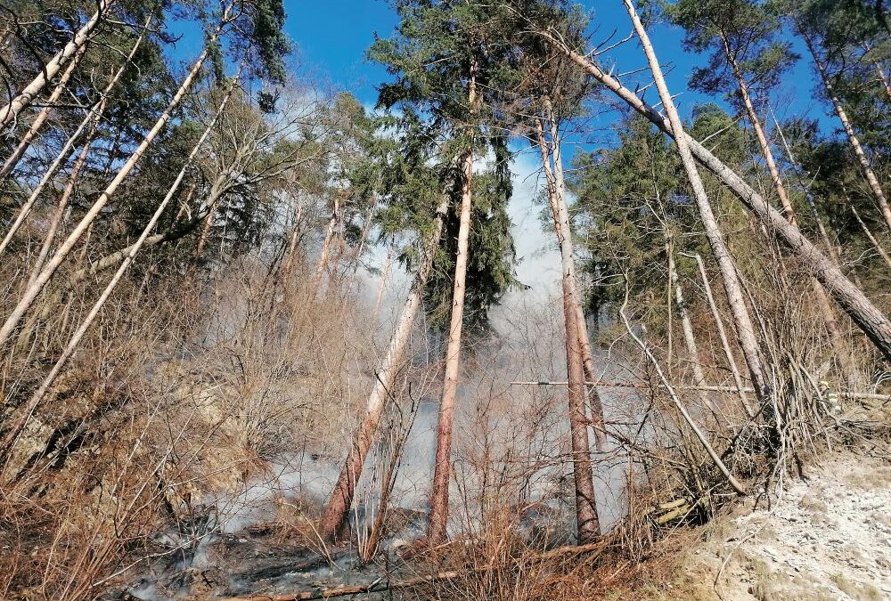 Waldbrände in Österreich: Risikobewusstsein schärfen