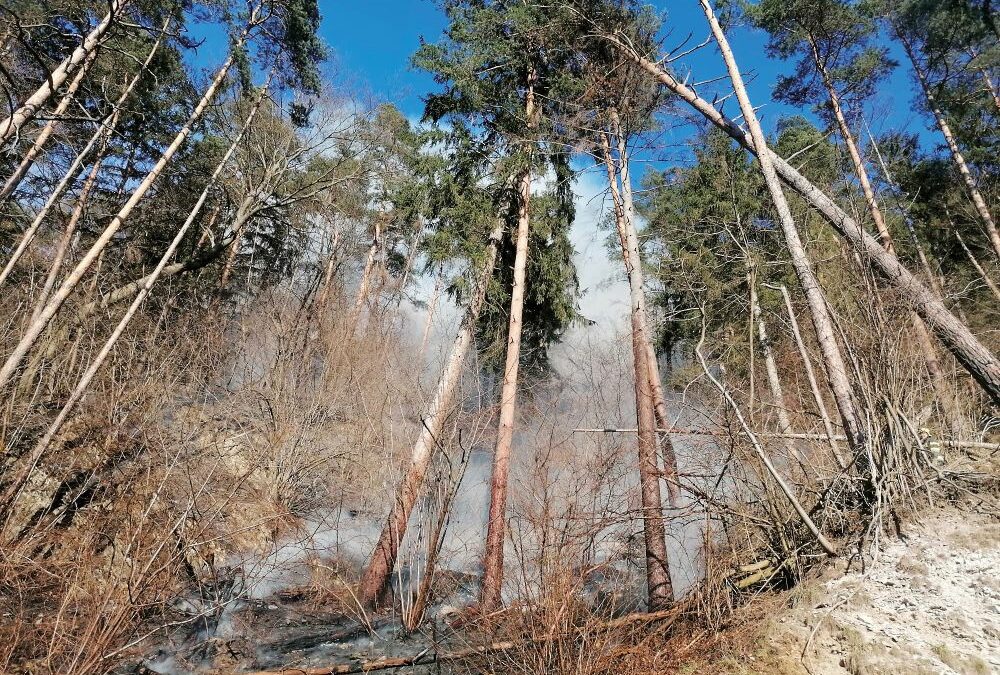 BUNDESFORSTE INTENSIVIEREN ÖSTERREICHWEIT WALDBRANDVORSORGE