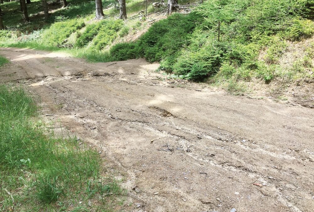 Das nasse Frühjahr hinterlässt Spuren