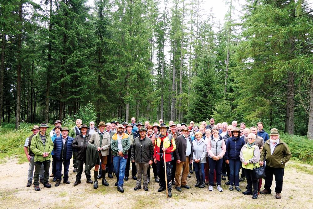 Der Wald braucht Bewirtschaftung!