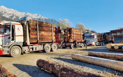 Wertholzsubmission Tirol 2026