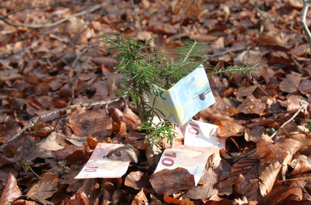 Wirtschaftsmotor Wald und Holz