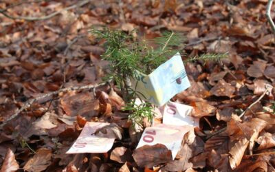 Wirtschaftsmotor Wald und Holz