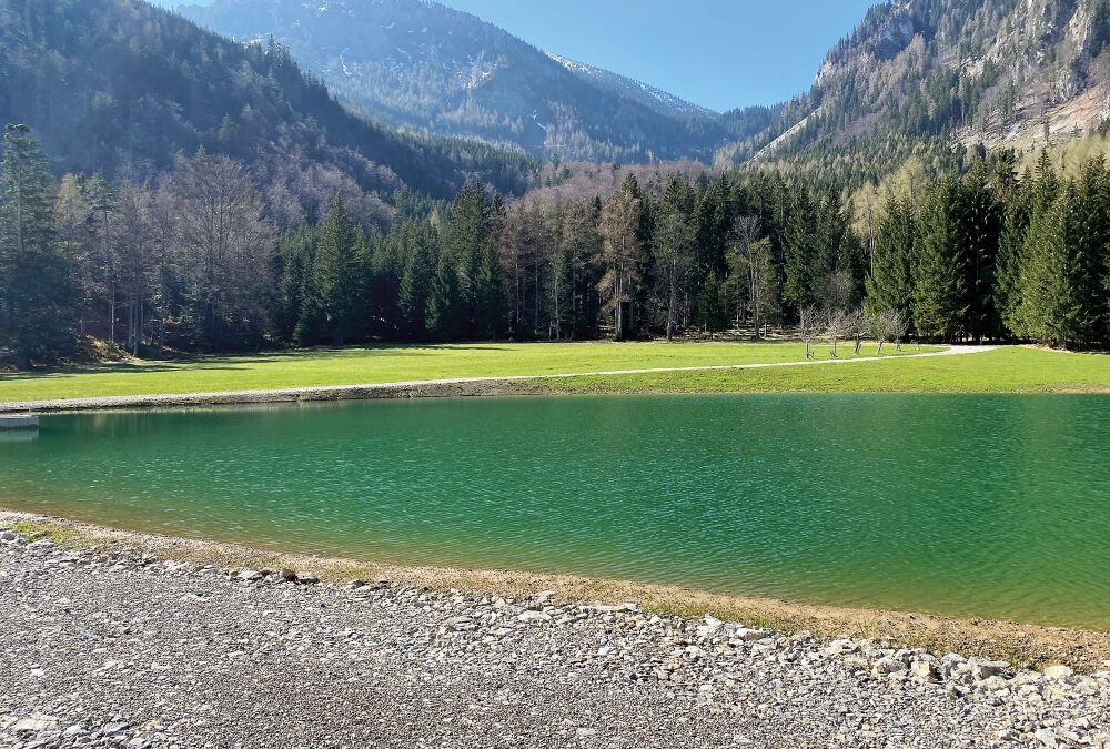 Löschteiche: Waldbrände gemeinsam bekämpfen