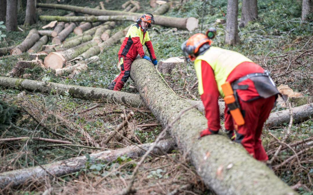 VON REGER NACHFRAGE BIS ZU KONTINGENTIERUNG