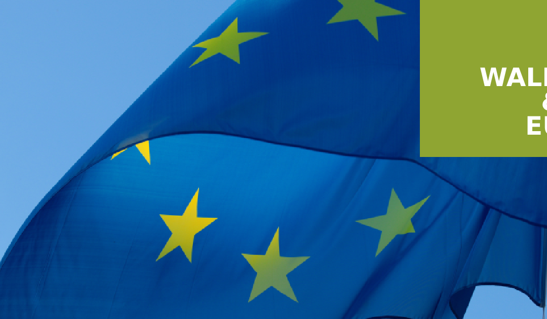 HOLZINDUSTRIE: EU VERPASST CHANCE, EUDR ZU VERBESSERN UND UNTERNEHMEN ZU ENTLASTEN