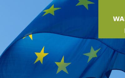 HOLZINDUSTRIE: EU VERPASST CHANCE, EUDR ZU VERBESSERN UND UNTERNEHMEN ZU ENTLASTEN