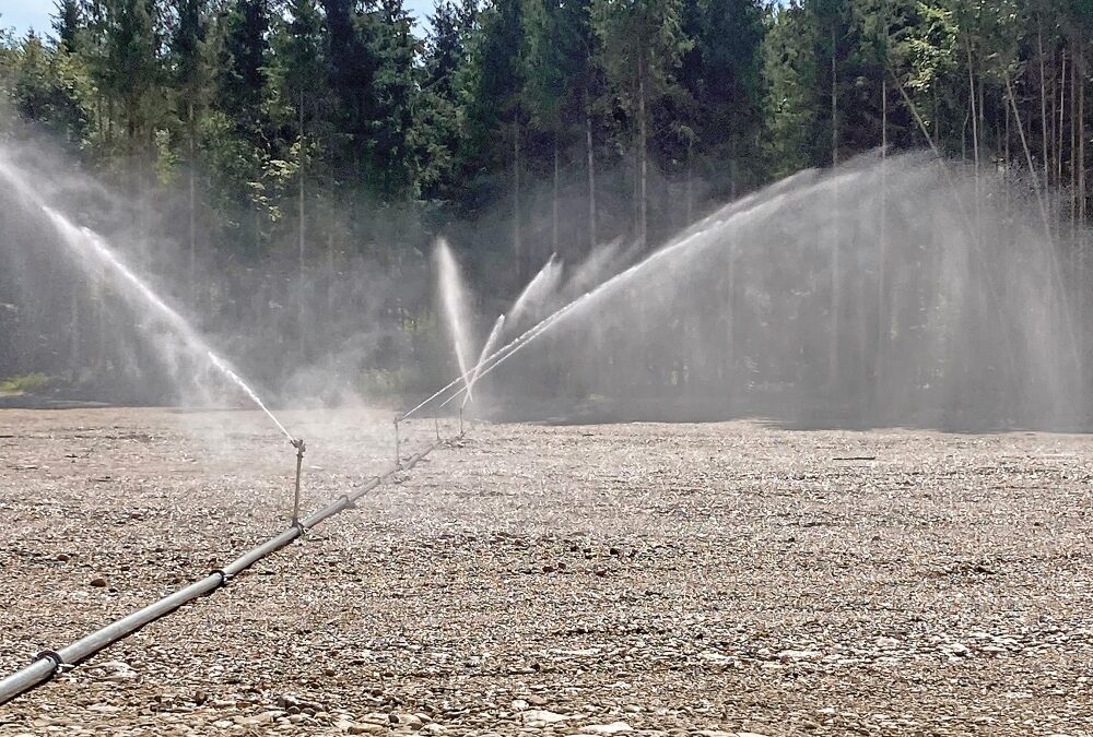Nasslager: Versicherung in stürmischen Zeiten