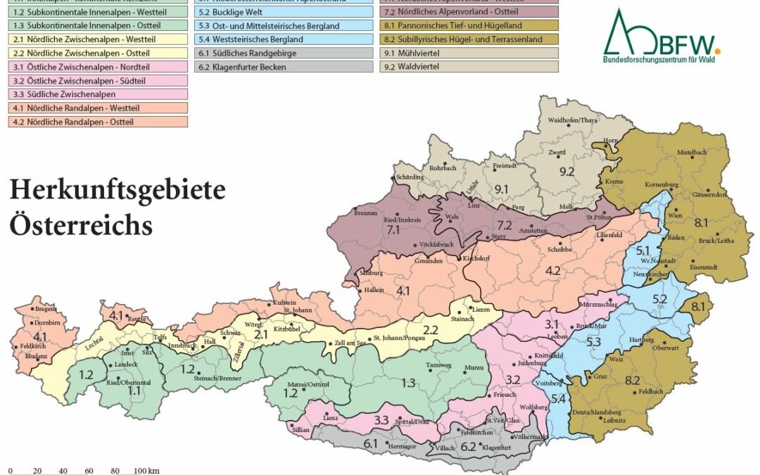 Das richtige Saatgut vom richtigen Bestand