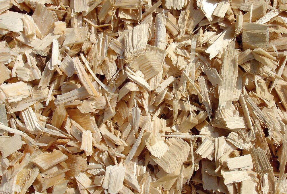 Starke Stimme für Holz als erneuerbarer Energieträger