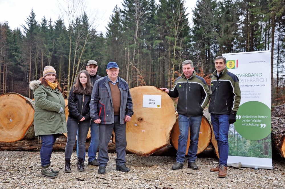 Erfolgreiche Nadel-Wertholzsubmission