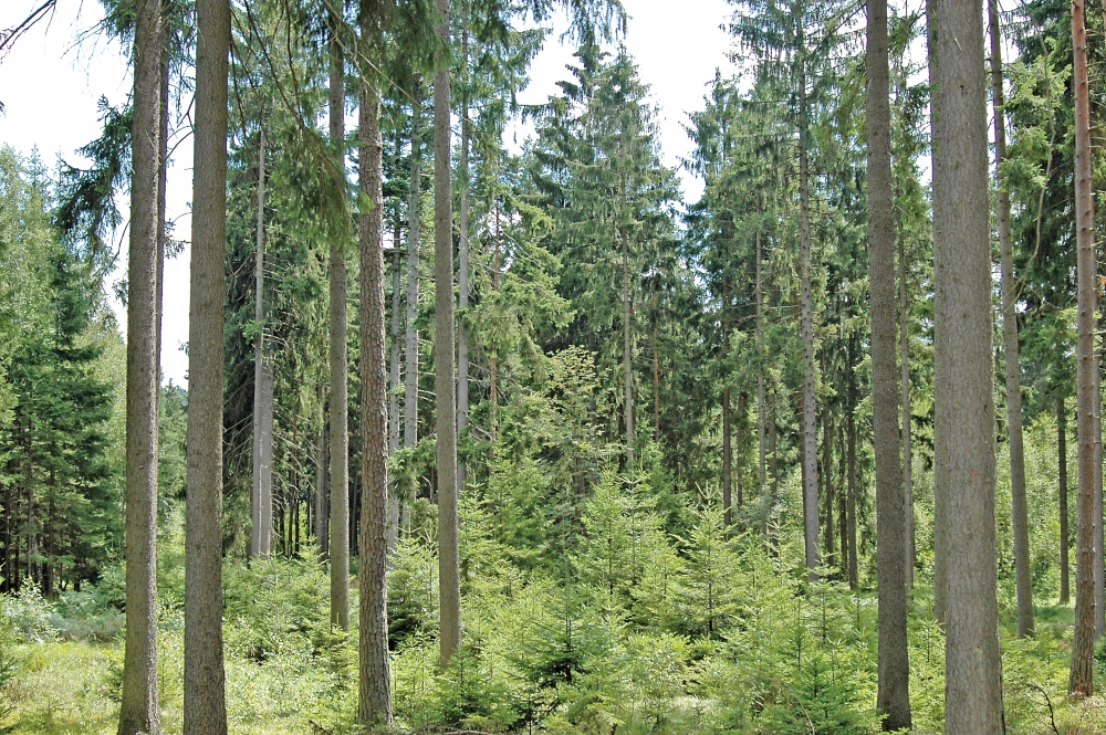 Gemeinsam für Wald und Hof