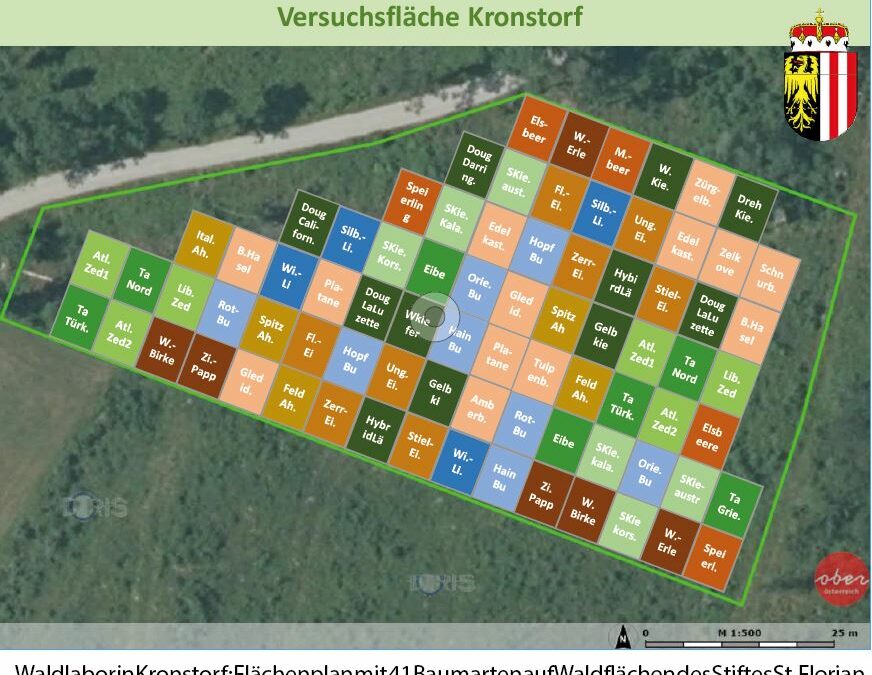 Waldlabore in Oberösterreich