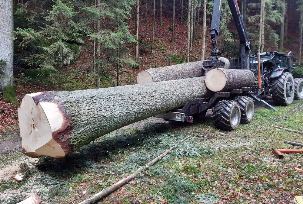 „Schatzsuche“ im Bauernwald