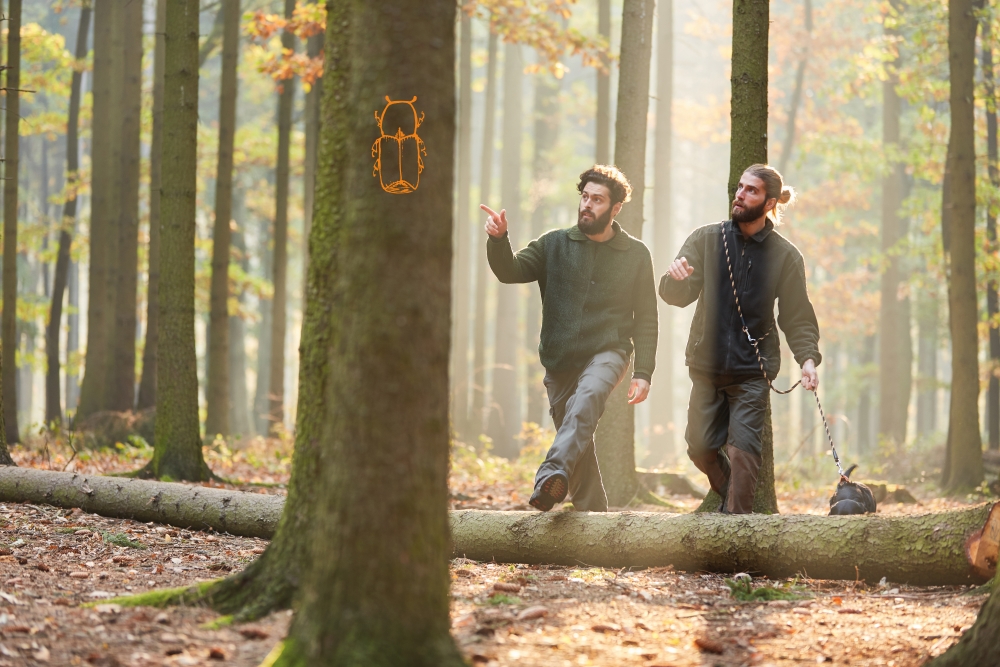 Haben Sie Käferprobleme?