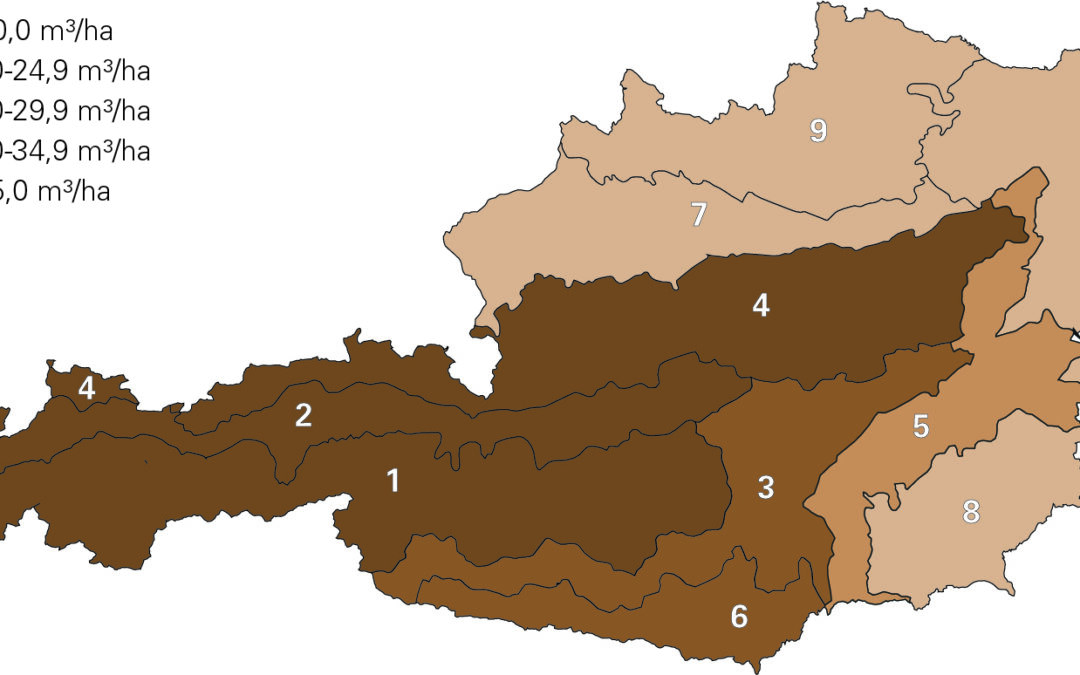 Österreichs Wald wird klimafitter