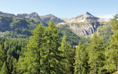 STRASSER UND TOTSCHNIG DANKEN FRANZ TITSCHENBACHER