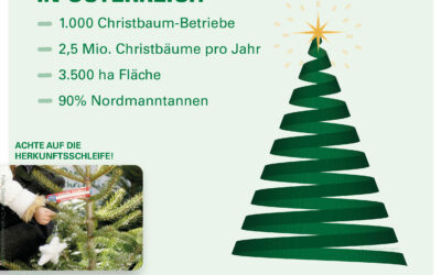 BEIM CHRISTBAUMKAUF AUF HEIMISCHE QUALITÄT ACHTEN