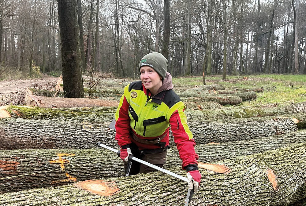 Kreativität trifft Waldbau