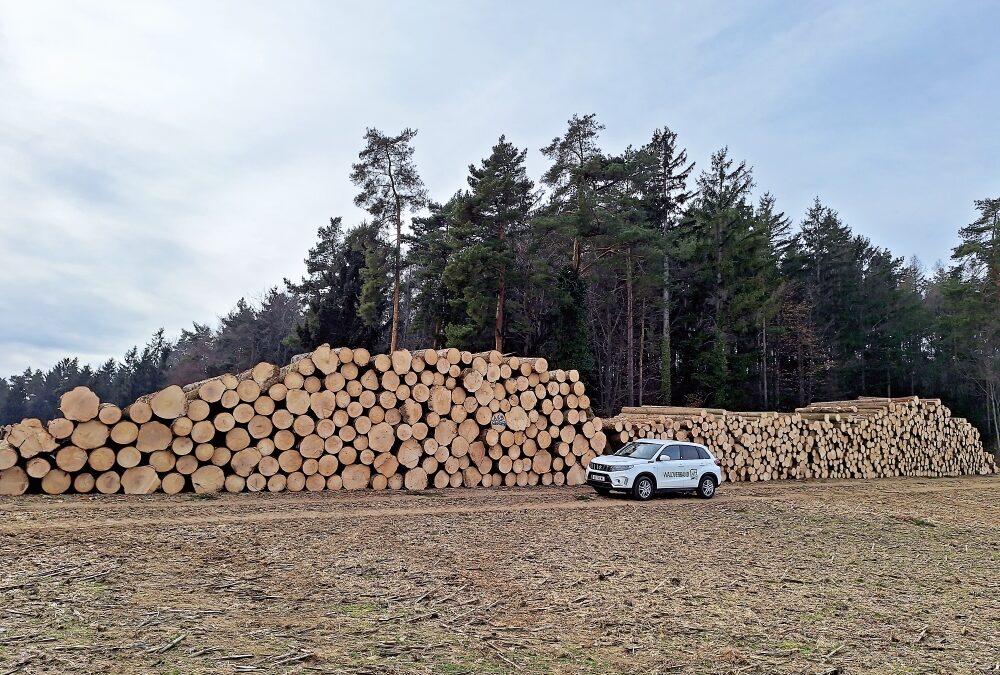 Der Waldverband: Eine Stütze in Katastrophenfällen
