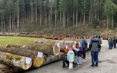 Rekordstamm aus Schnann