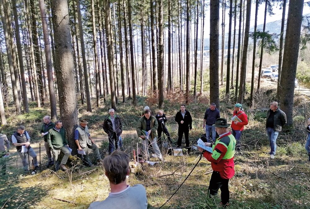 Dynamische Waldtypisierung Steiermark