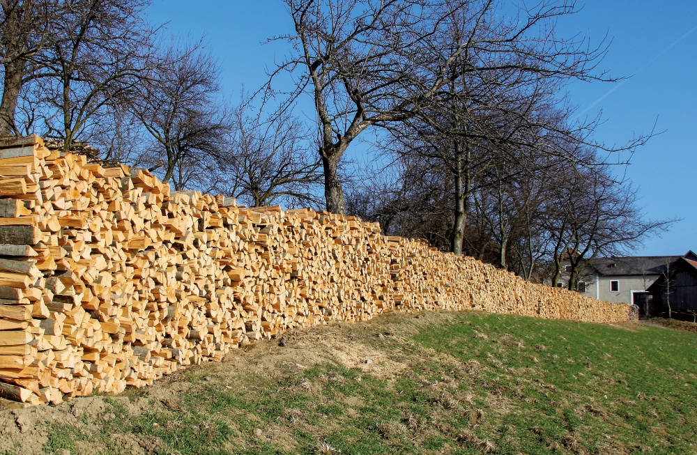 57% Erneuerbar geht nur mit Holzenergie