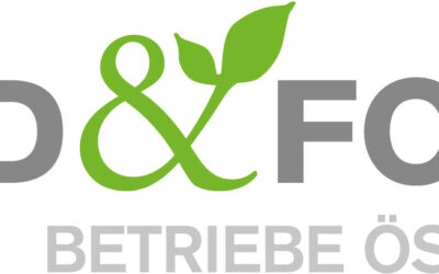 Angebot an nächste Regierung: Mit Holz aus den Krisen bauen!