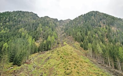 TOTSCHNIG: INVESTITION IN SCHUTZWÄLDER IST INVESTITION IN SICHERHEIT