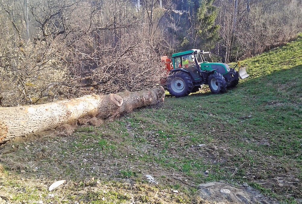 Holzbringung über fremden Grund