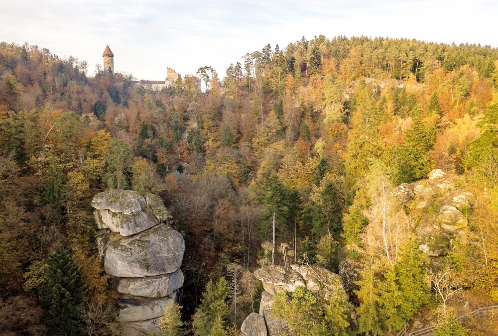 Bestattungswald – worauf kommt es an?