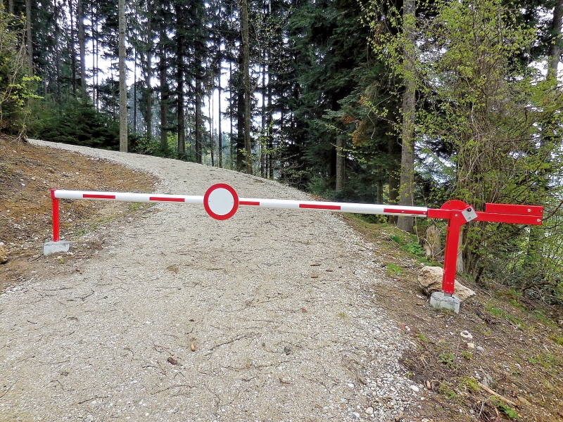 Forstwege fit für den  Sommer machen