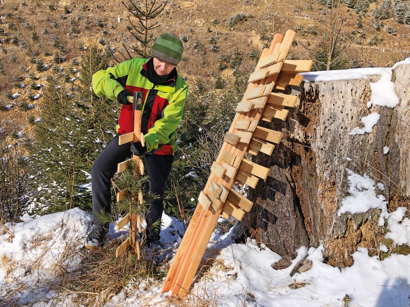 Baumwächter aus Holz statt Plastik im Wald