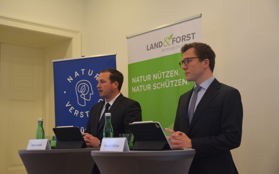 Forstwirtschaft 2024: Forstbetriebe stärken Wald und Wirtschaft!
