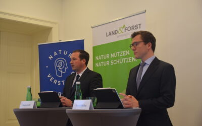 Forstwirtschaft 2024: Forstbetriebe stärken Wald und Wirtschaft!