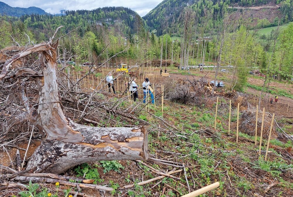 Neue Herausforderung: Hagelschäden