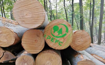 Stockenboi setzt Meilenstein: Erste PEFC-Gemeinde in Kärnten