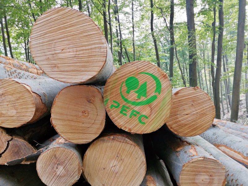 Stockenboi setzt Meilenstein: Erste PEFC-Gemeinde in Kärnten