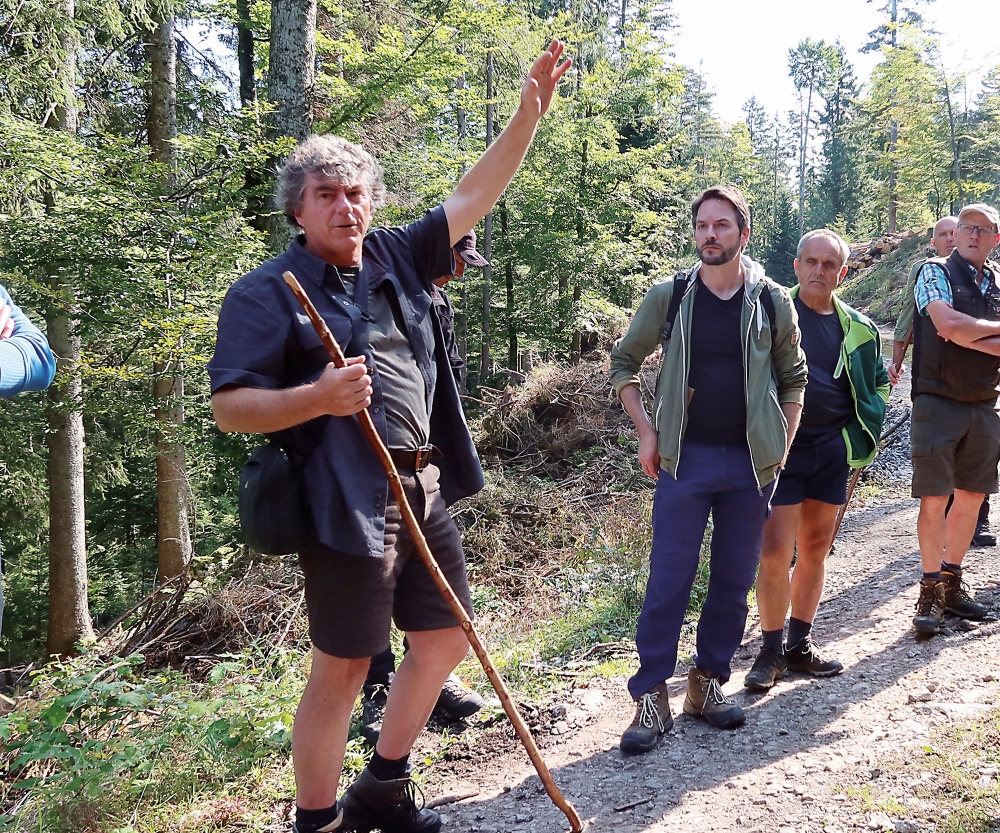 Thomas Huber Auerwild